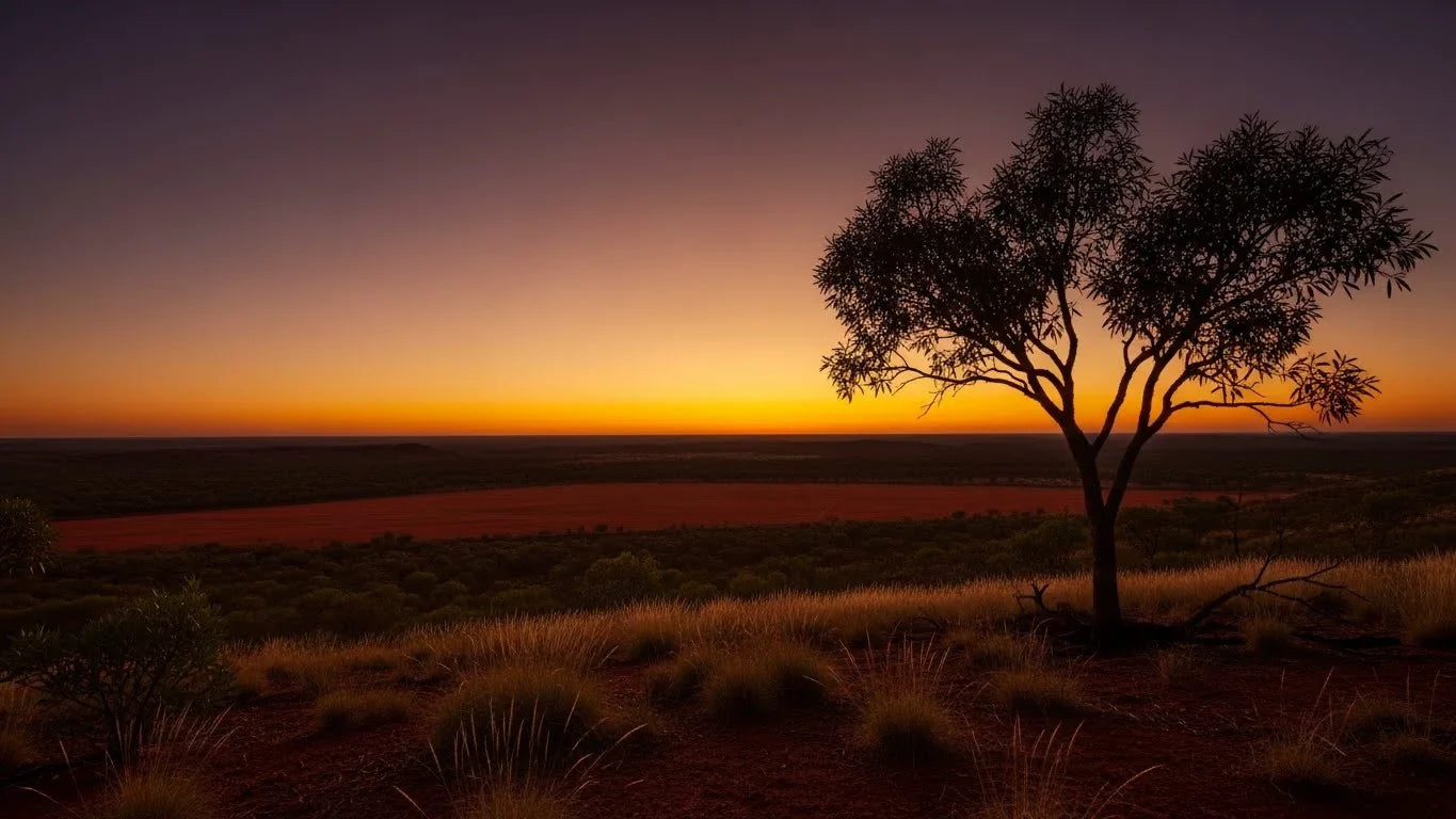 Sourced from Australia’s Wild & Ancient North: The Journey of the Kakadu Plum