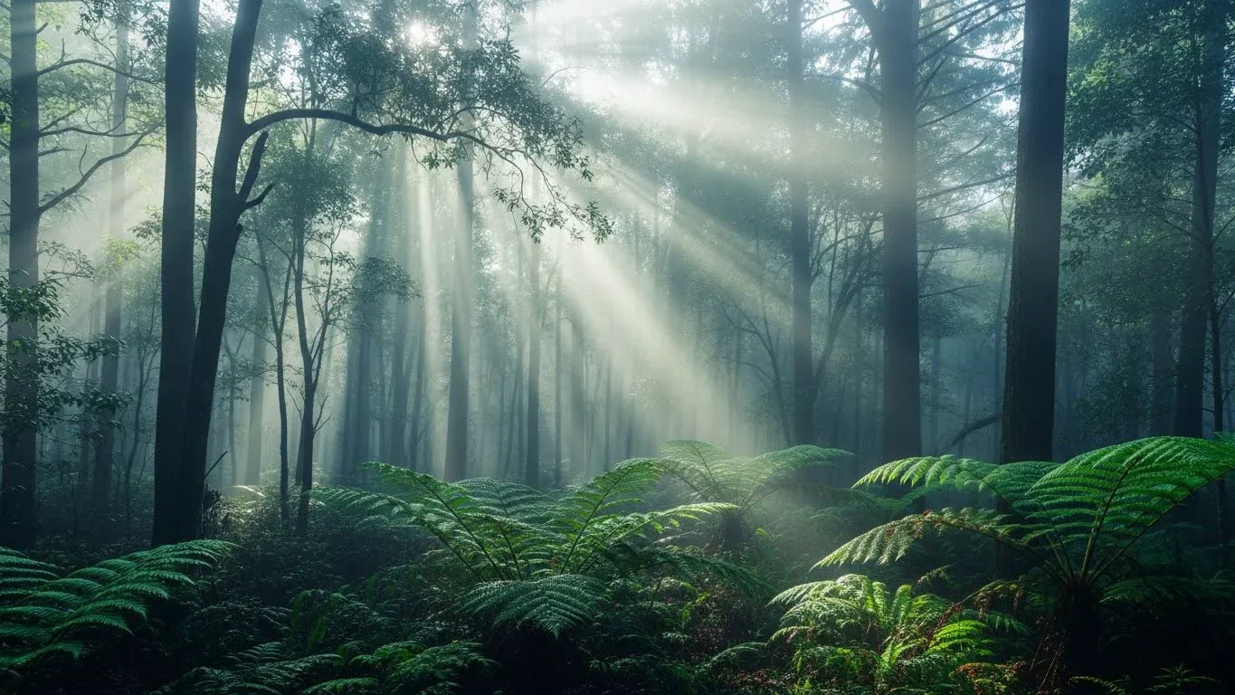 The Power of Presence: A Morning Ritual for Mindful Skin